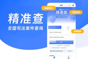 案件查询系统案底查询精准查系统搭建源码