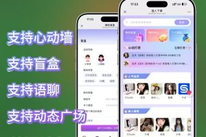 最新商业版语聊游戏陪玩语音聊天系统开发搭建